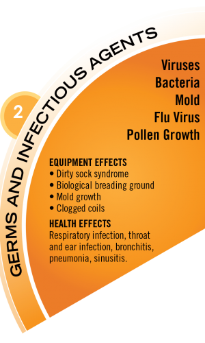 Germs and Infectious Agents